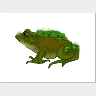 Moss Frog Posters and Art